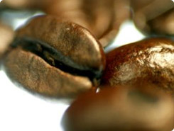Coffee-Beans